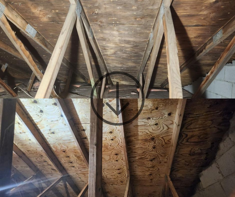 Technicien en décontamination équipé dans un logement résidentiel  à Delson