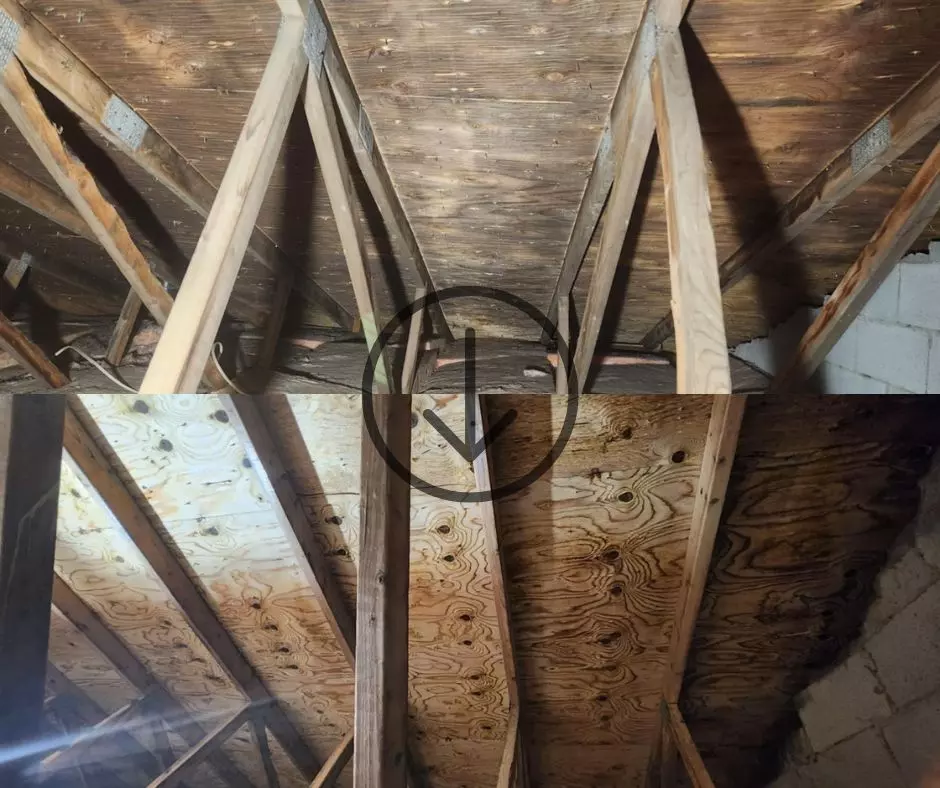 Technicien en décontamination équipé dans un logement résidentiel  à Saint-Jean-sur-Richelieu